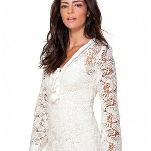 Hale Bob Queen Bee Butterfly Lace Dress XS